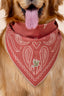 Paisley Bandana in Rust