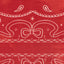 Bandana in Scarlet Short Sleeve & Short Pajama Set